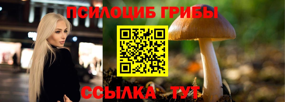 Псилоцибиновые грибы мицелий Алапаевск