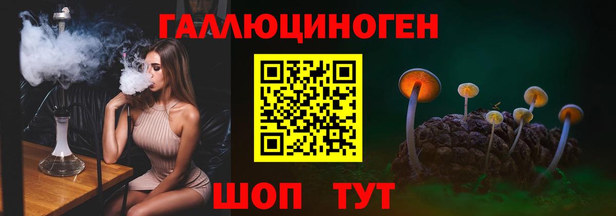 Алапаевск  Галлюциногенные грибы ЛСД  что такое наркотик  Вход с VPN 